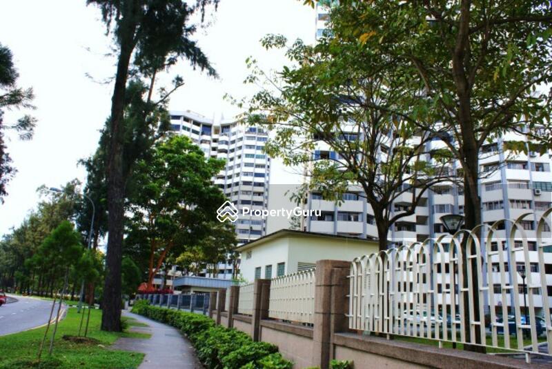 Khám Phá Thế Giới Đầu Tư Thú Vị Tại Giá Vàng 9999 Ngày 26 3 Nơi Đầu Tư Thông Minh Gặp Gỡ Thành Công