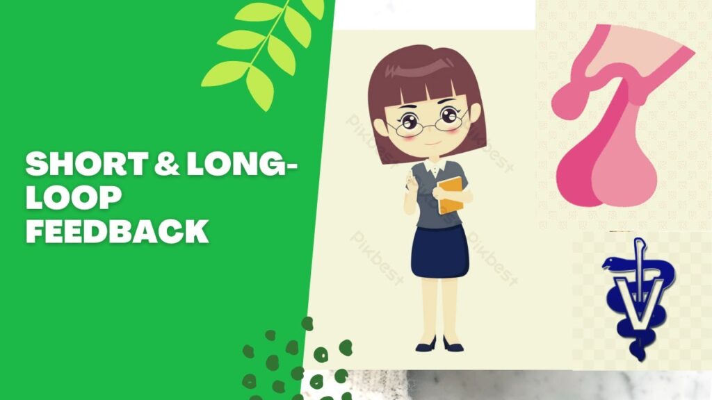 Tìm Hiểu Về Kubet3 Com Cách Chọn Lựa Và Phân Tích Hiệu Quả