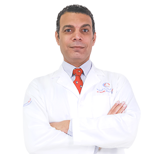 Khám Phá Xe Evo 200 Lite Website Cá Cược Và Giải Trí Hàng Đầu Việt Nam