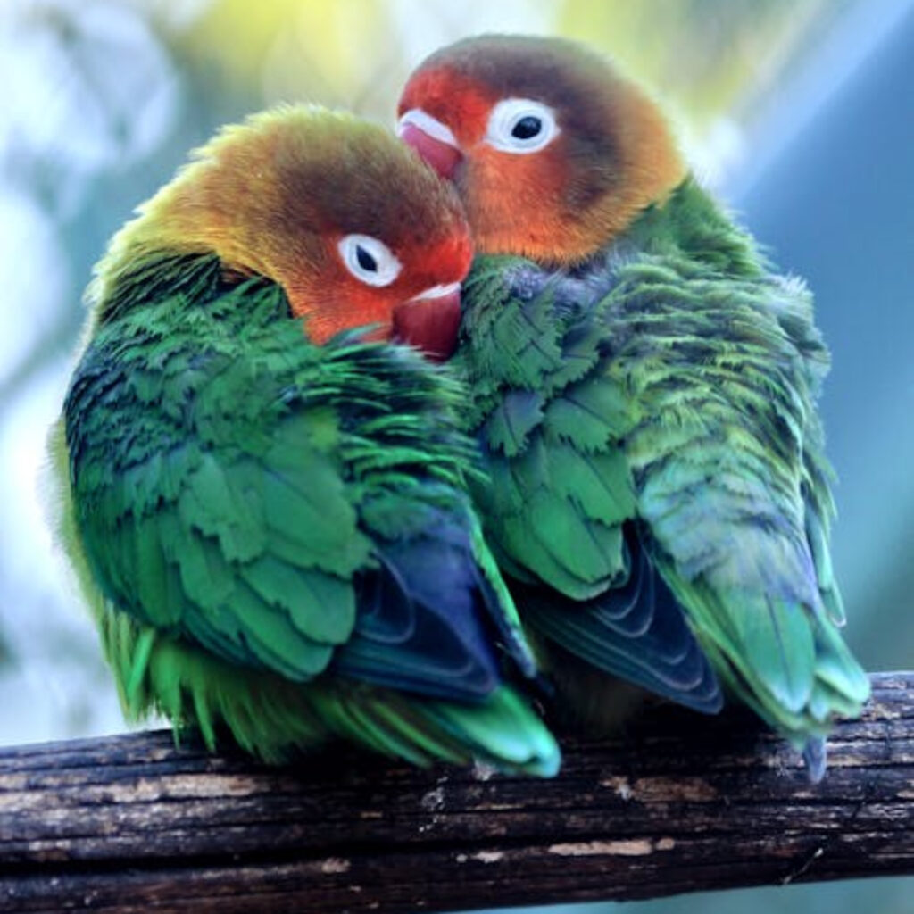 Khám Phá Nhà Đất Đường Lê Hồng Phong Hải Phòng – Trải Nghiệm Cá Cược Trực Tuyến Hàng Đầu Mang Lại Đẳng Cấp Mới