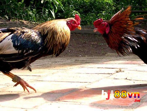 Khám Phá Thế Giới Coi Phim 18 – Cơ Hội Và Trải Nghiệm