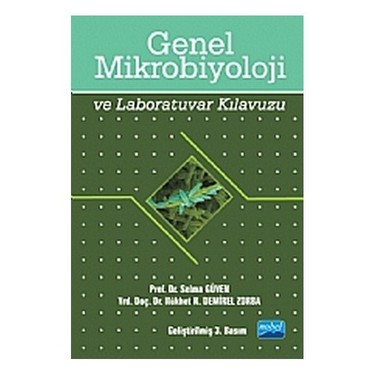 Khám Phá Honda Vision Phiên Bản Đặc Biệt Bí Quyết Cá Cược Thông Minh