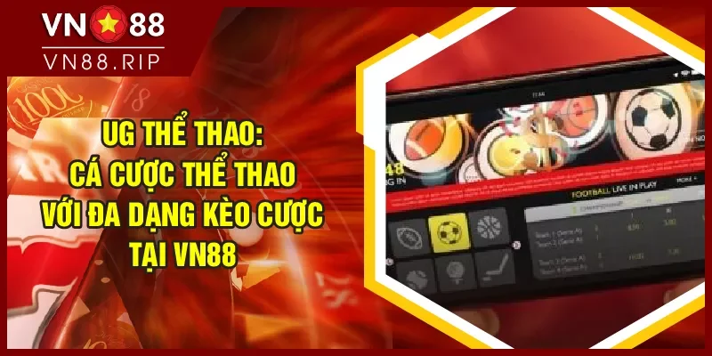 Nhà Phố Liền Kề Giá Rẻ Tphcm Khám Phá Thế Giới Giải Trí Đỉnh Cao Và Hấp Dẫn